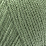 Load image into Gallery viewer, Robin Double Knit 100G