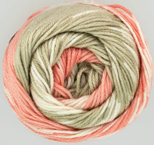 Load image into Gallery viewer, King Cole Fjord Double Knit 100g