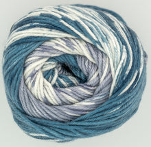 Load image into Gallery viewer, King Cole Fjord Double Knit 100g