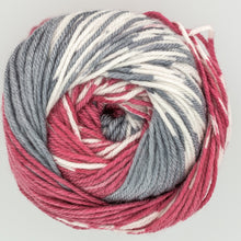 Load image into Gallery viewer, King Cole Fjord Double Knit 100g
